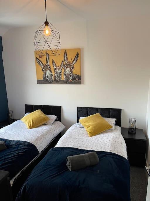 Luxury Accommodation. Уолласи Экстерьер фото